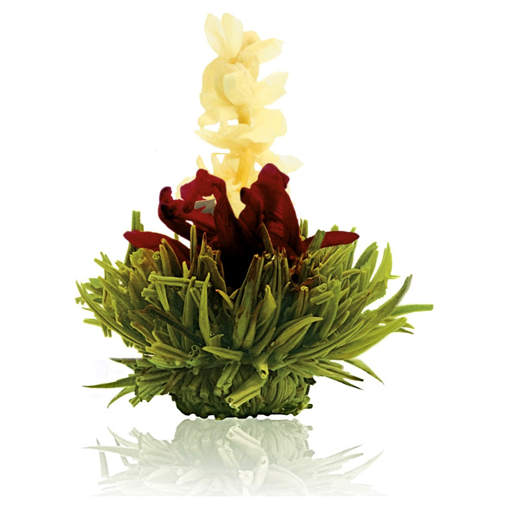Creano Erblühtee Grüntee – 6 Teeblumen – Magnetbox
