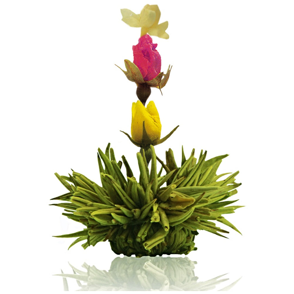 Creano Erblühtee Grüntee – 6 Teeblumen – Magnetbox