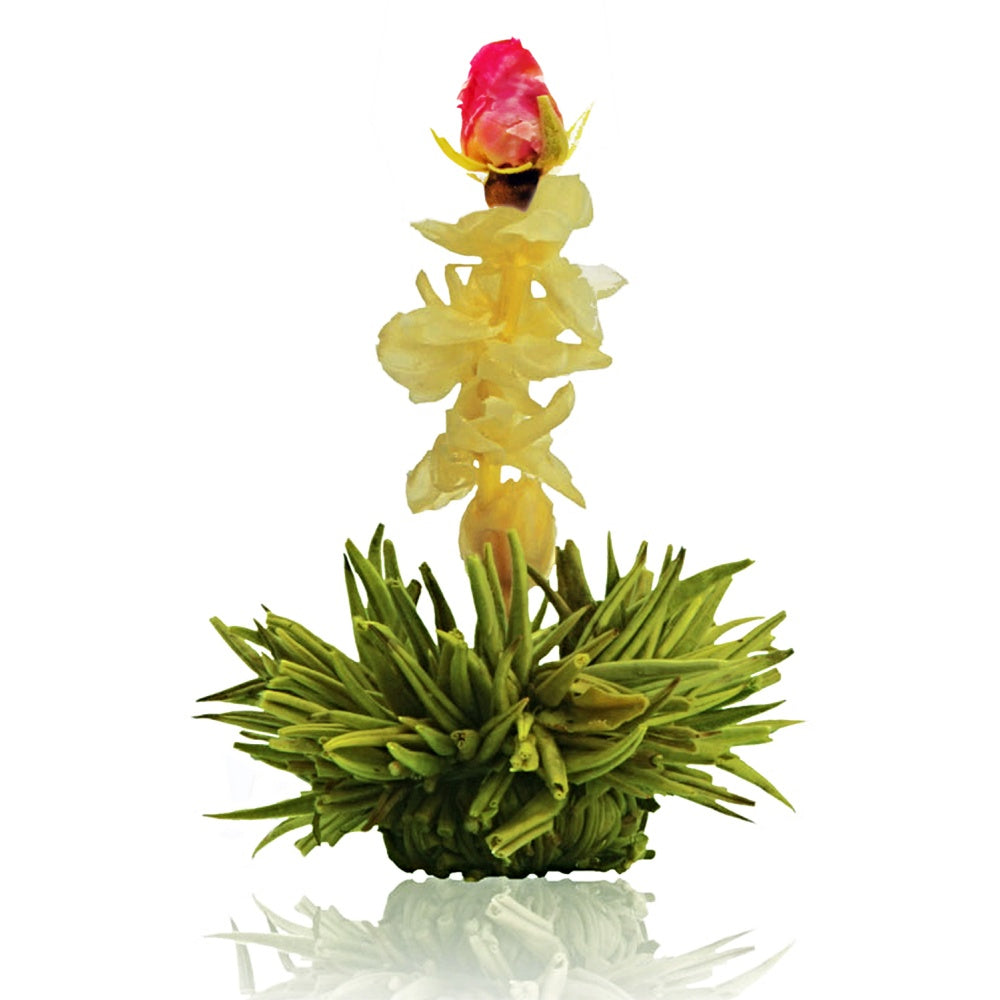 Creano Erblühtee Grüntee – 6 Teeblumen – Magnetbox