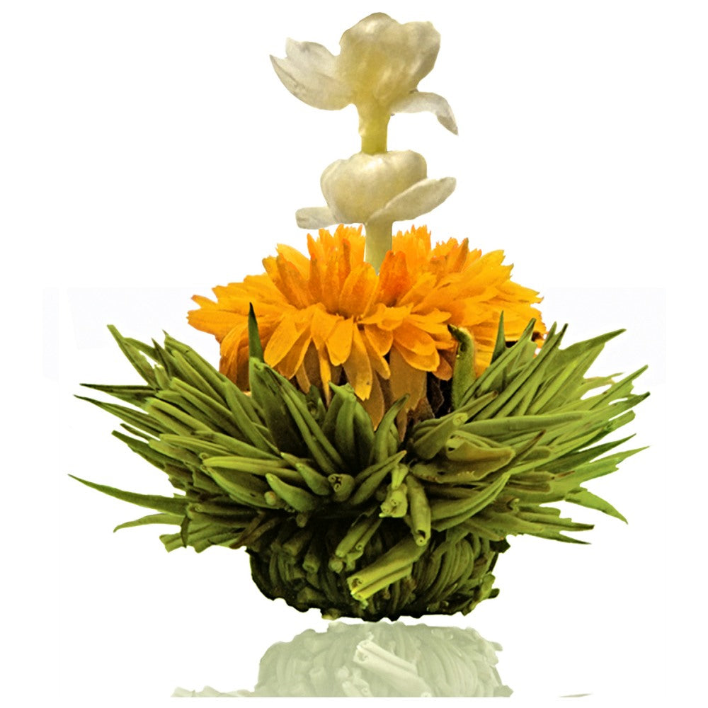 Creano Erblühtee Grüntee – 6 Teeblumen – Magnetbox