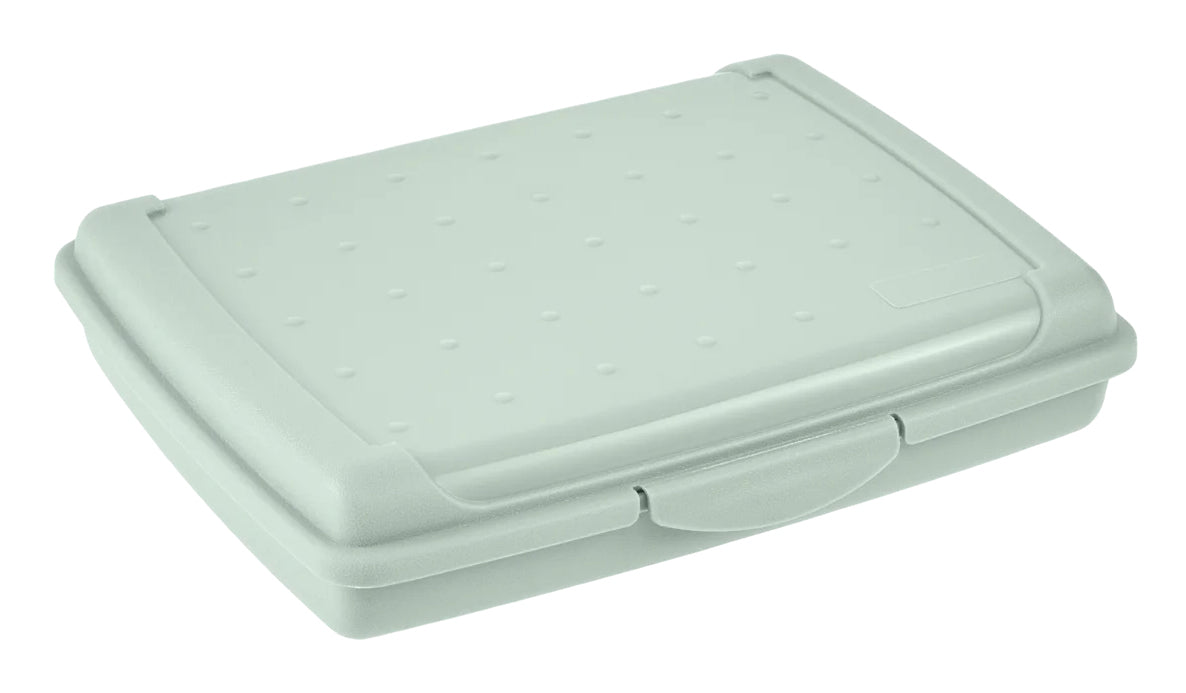keeeper Luca Aufbewahrungsbox 0,5 l – Polypropylen – Grün – 130 × 35 × 170 mm