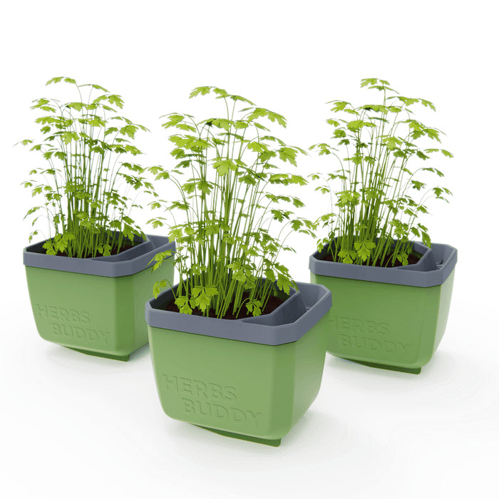 Gusta Garden Kräutertopf – 50 × 14,5 × 14,9 cm – Kunststoff, Grün – 3-teilig