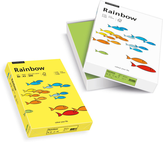 Scaldia Kopierpapier – A4, 160 g/m², Hellgrau – für Inkjet/Laser/Kopierer – FSC – 250 Blatt