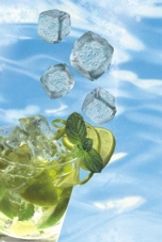 Papstar Eisbeutel 20 Stk., je für 24 Kugeln, Kunststoff, transparent, Einweg