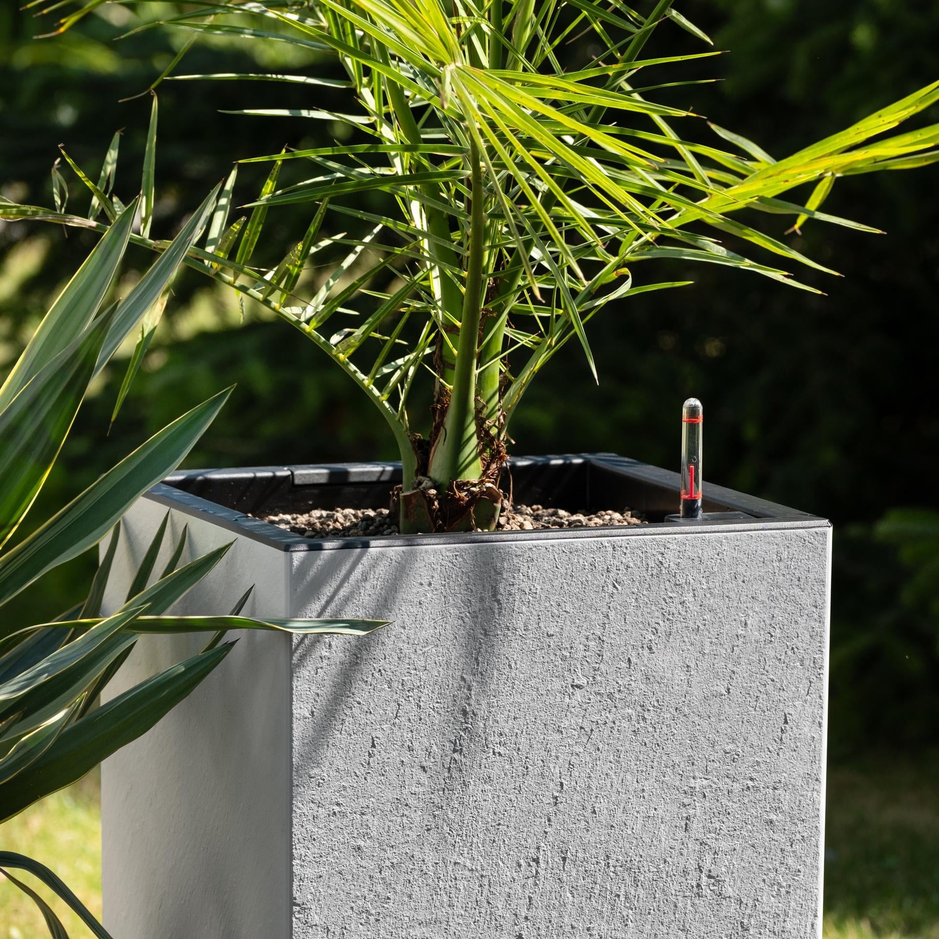LECHUZA Topfpflanzer – Höhe 56 cm, Tiefe 30 cm, 12 l – Kunststoff, dunkelgrau