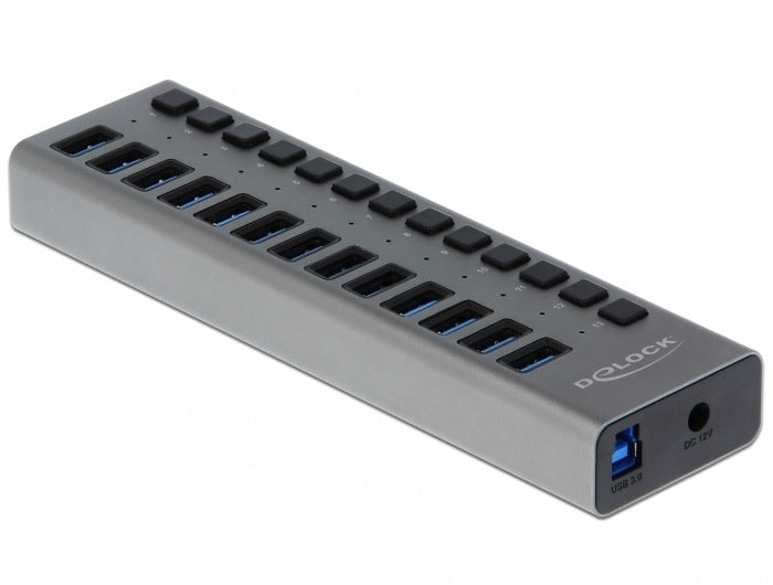 DeLOCK USB-Hub – USB 3.0, 13× USB-A