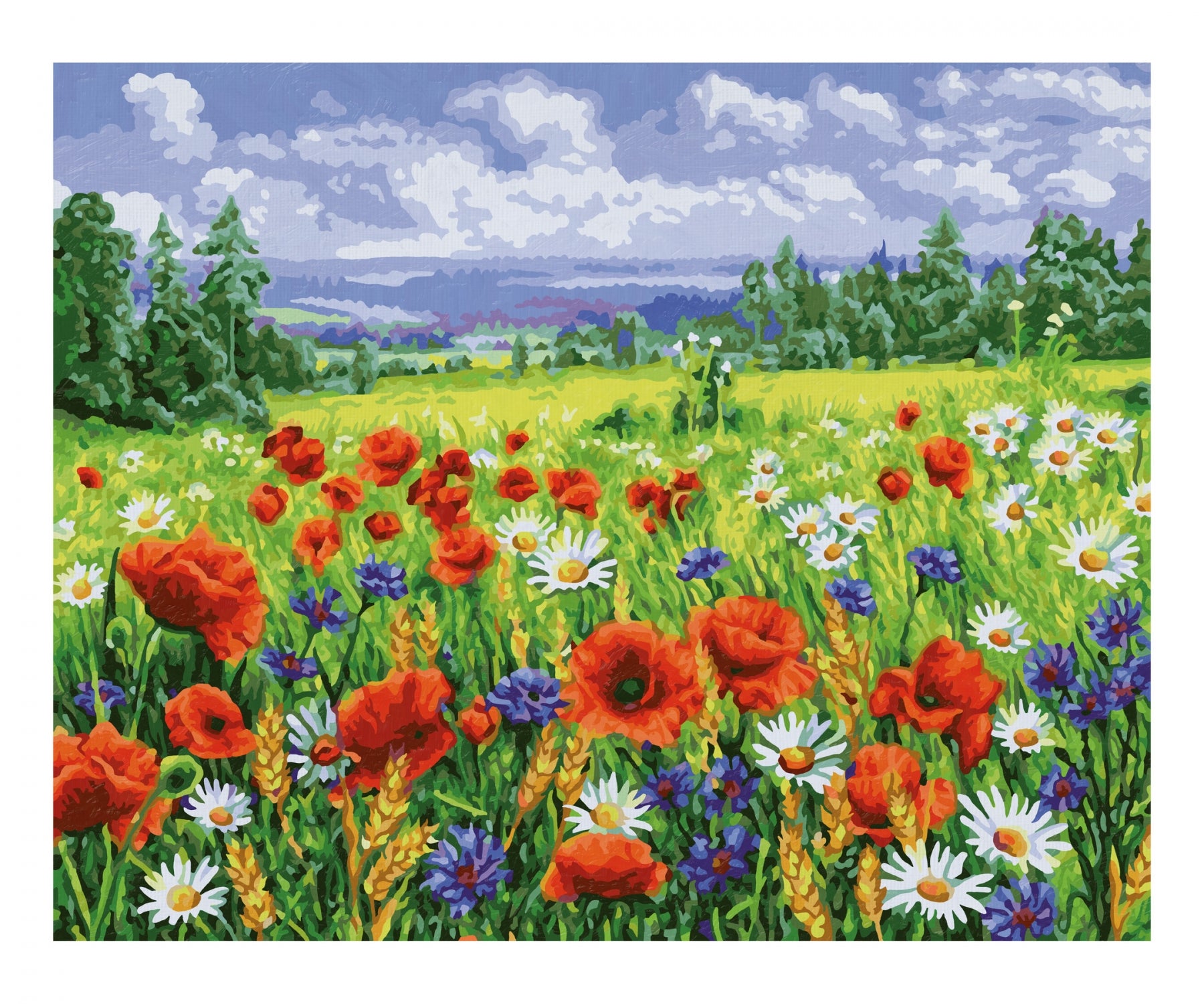 Schipper Malen-nach-Zahlen-Set – Blumenwiese – 40 × 50 cm – ab 8 Jahren