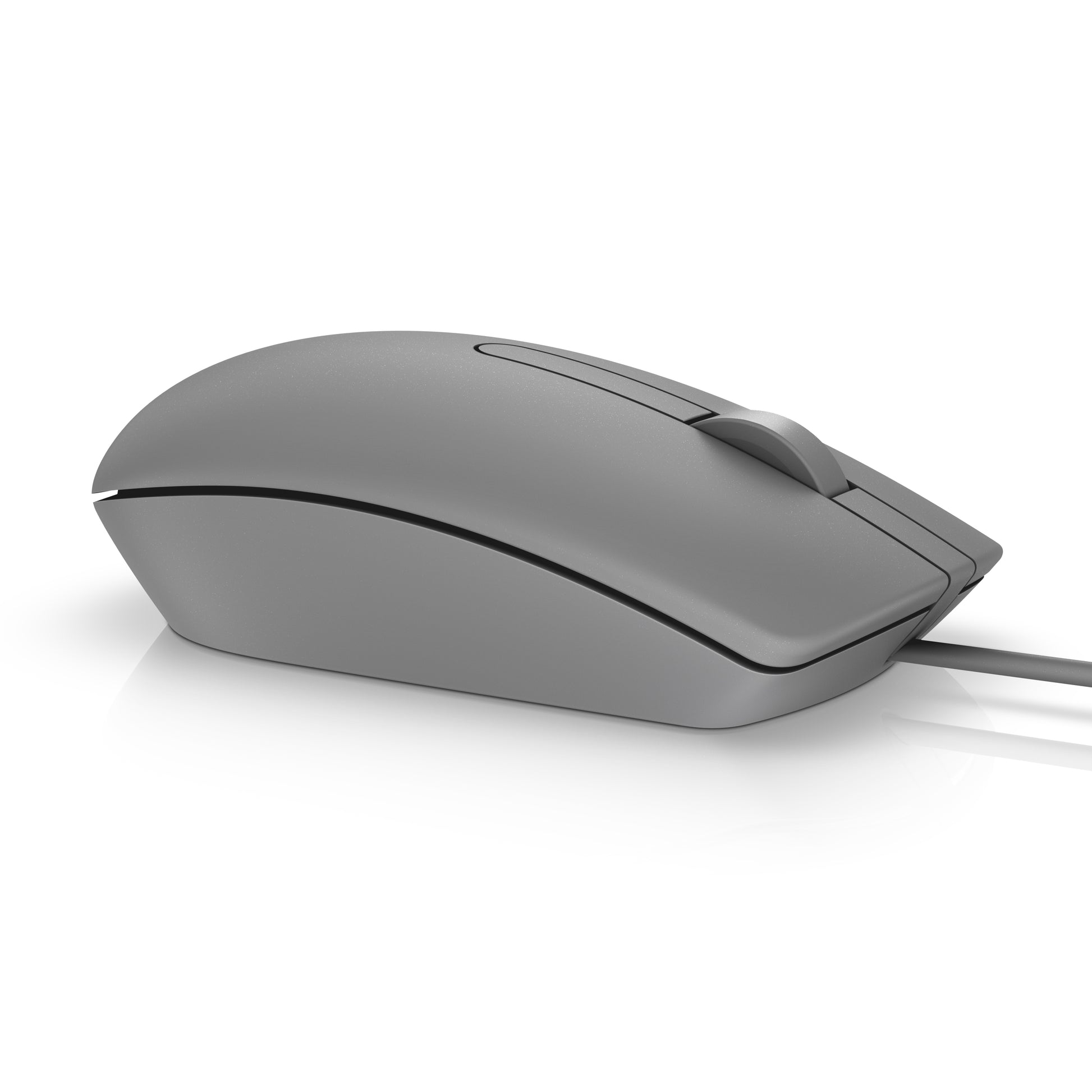 Dell MS116 Maus – kabelgebunden, USB-A, 1'000 dpi, beidhändig, grau