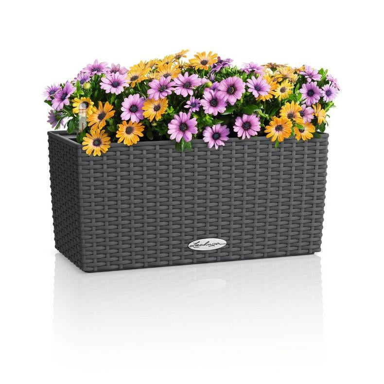 LECHUZA Pflanzgefäss – 40 × 19 × 19 cm – Kunststoff, Granit
