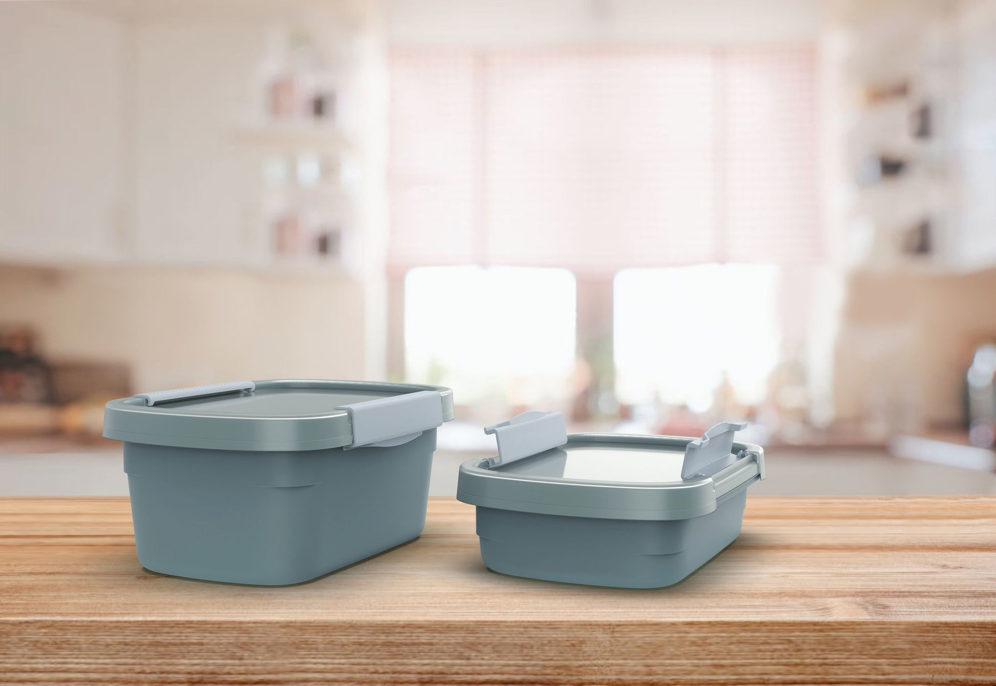 Rotho Kühlschrankdose Clic Eco – 2,2 l – Rechteckig – 15 × 13,5 × 22 cm – Kunststoff – Horizon Blau