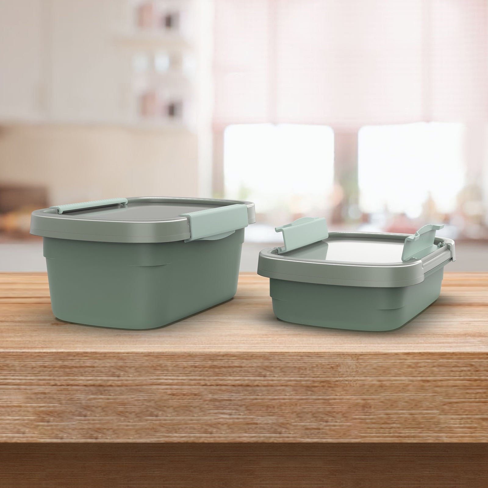 Rotho Kühlschrankdose Clic Eco – 1,5 l – rechteckig – 15 × 9,6 × 22 cm – Kunststoff – Grün