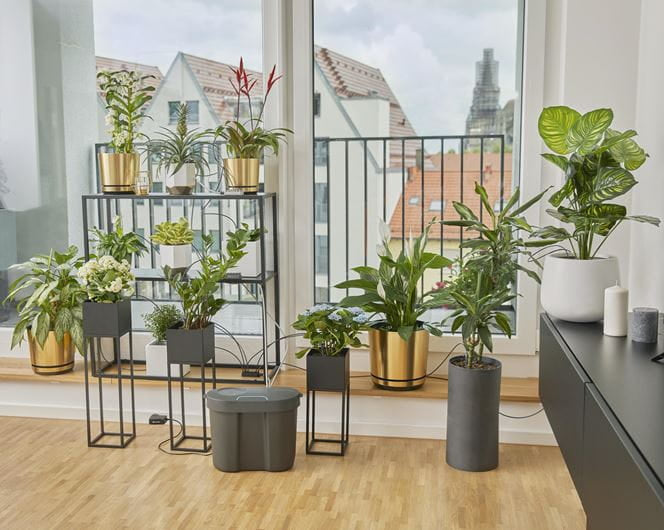Gardena Urlaubsbewässerungs-Set – Schlauch 30 m, 36 Tropfer, Grau/Schwarz, mit Druckregler