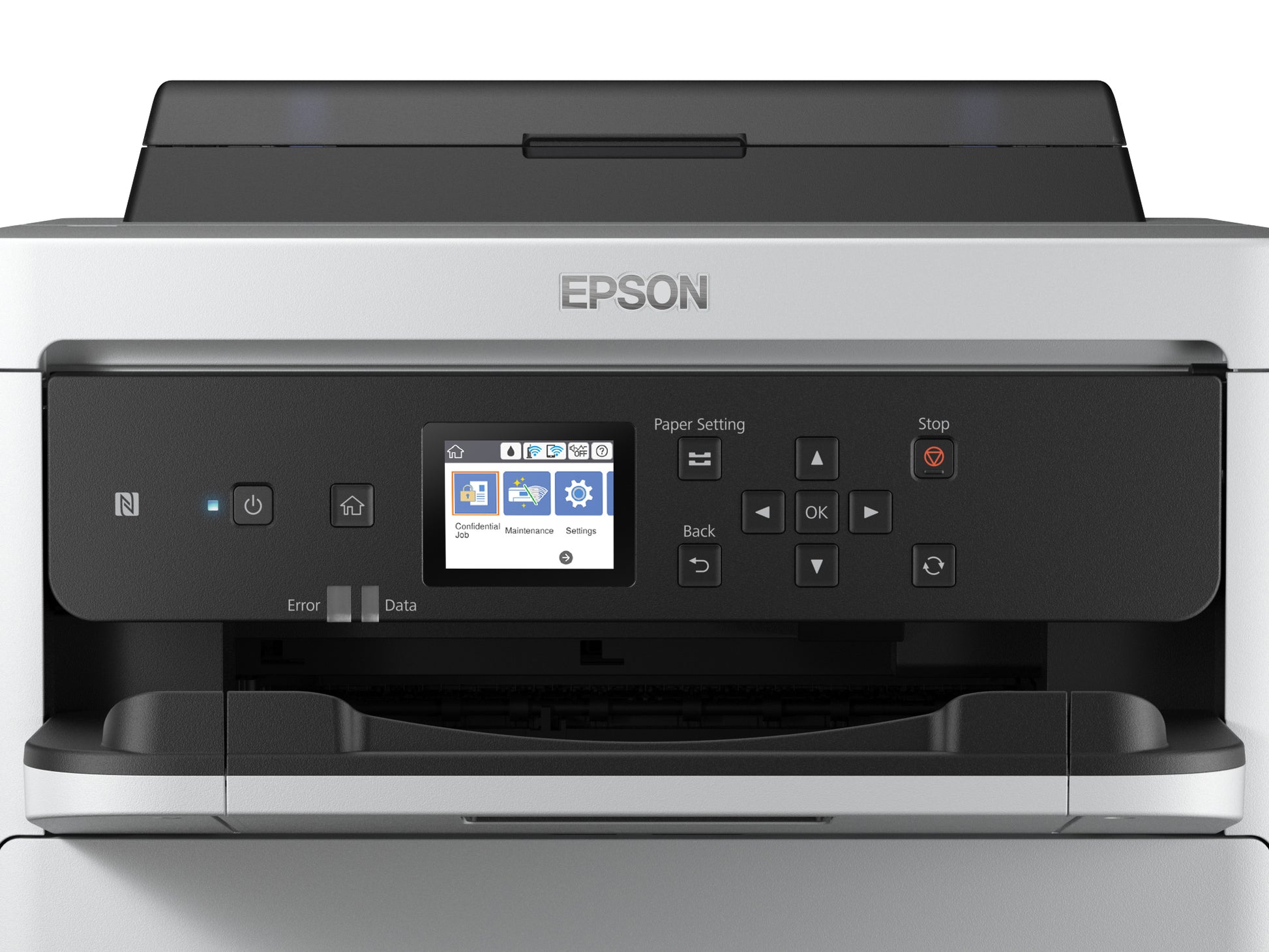Epson Tintenpatrone C13T01C200, cyan, 20'000 Seiten