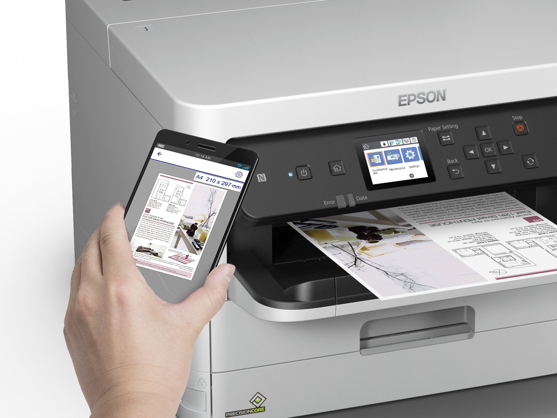 Epson Tintenpatrone T01D2, cyan, XXL, 20'000 Seiten