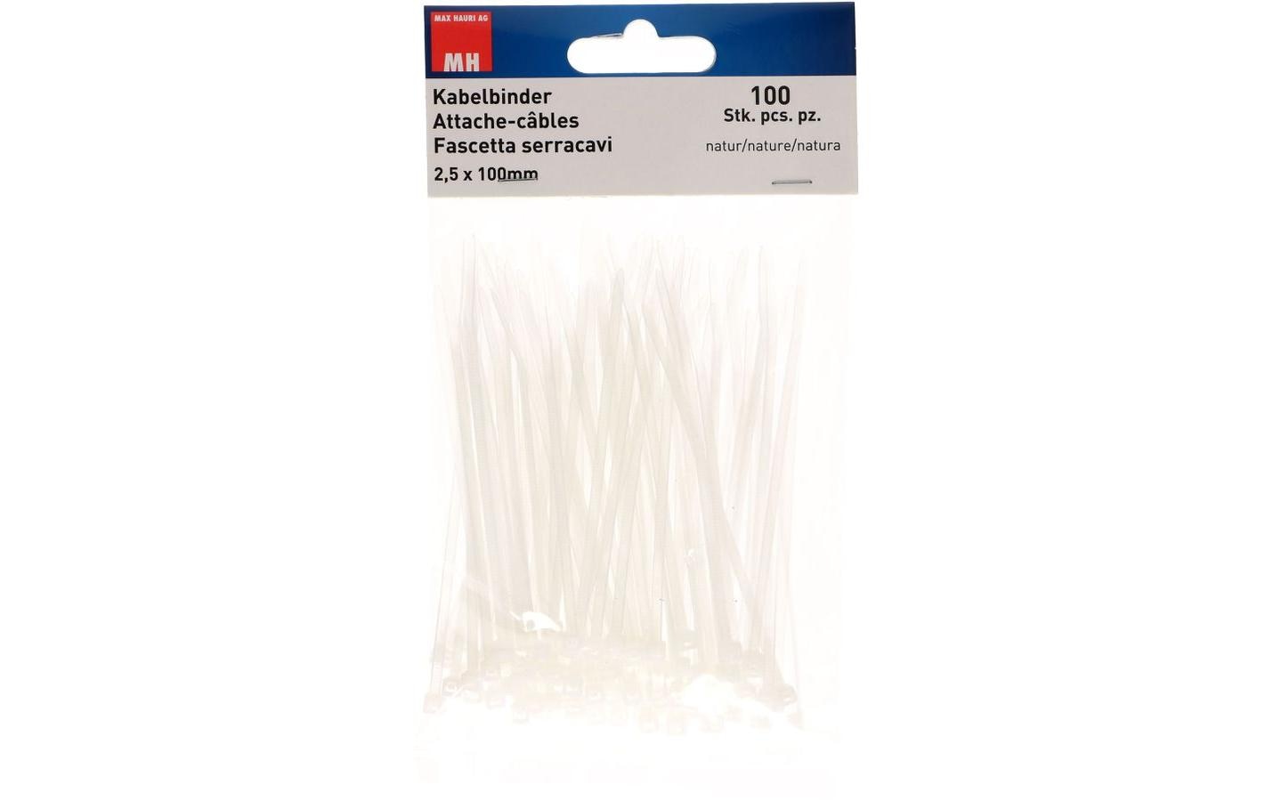 Max Hauri AG Max Hauri – Kabelbinder 100 × 2,5 mm, Polyamid, natur, 100 Stk.