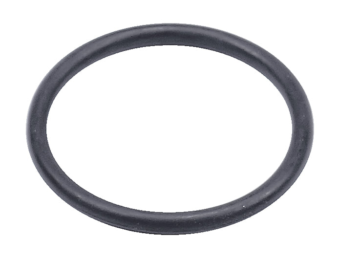 Gardena O-Ring Kunststoff – 1 Stück – für GARDENA Ventilbox V1, Ventilbox V3