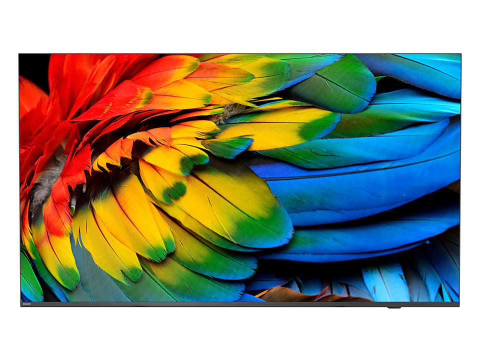 Philips 43HFL6214U/12 MediaSuite – 43" Hotel-TV LED UHD 4K, Android TV