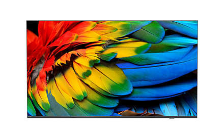 Philips 65HFL6214U/12 MediaSuite – 65" Hotel-TV LED UHD 4K, Android TV