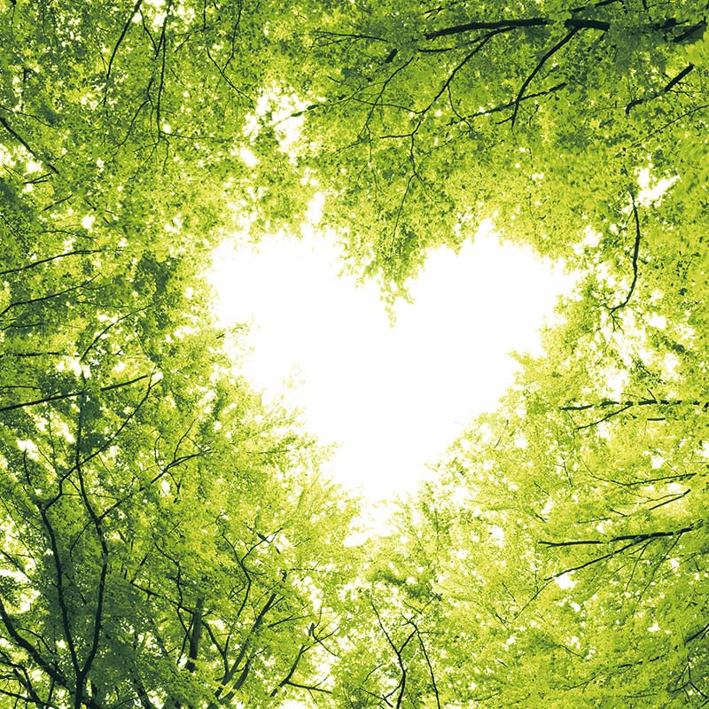 Paper + Design Servietten Nature Love – grün – 33 × 33 cm, 3-lagig – 20 Stück