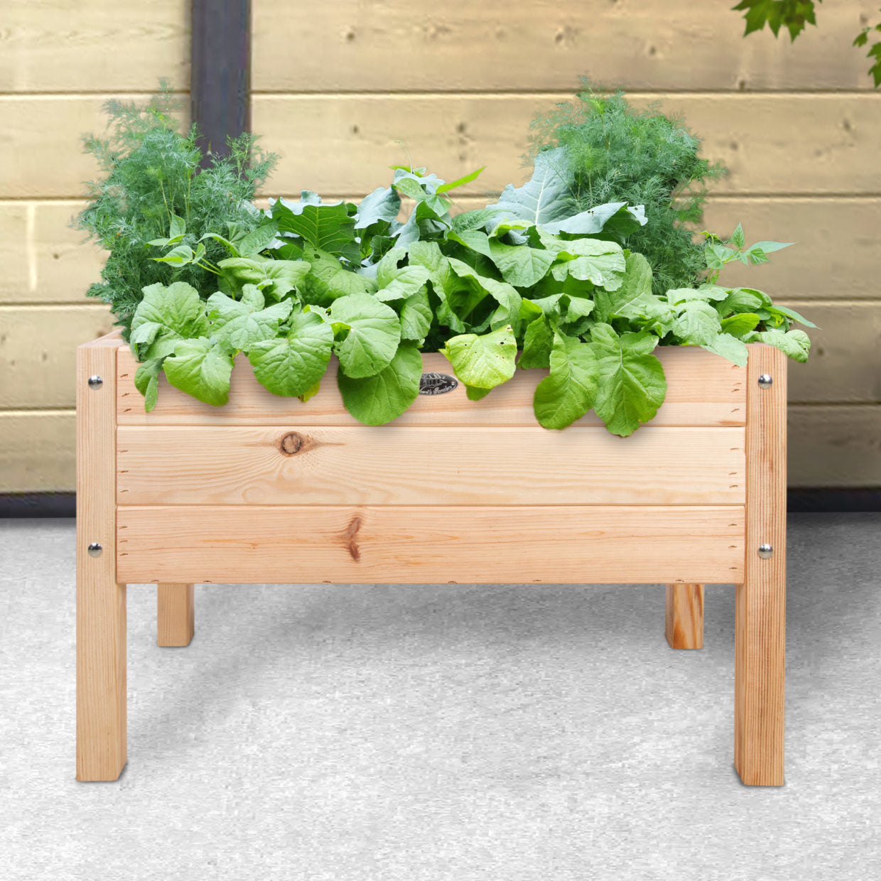Esschert Design Hochbeet – für Kinder, 78,8 × 50 × 40,6 cm – Stahl & Holz, Natur