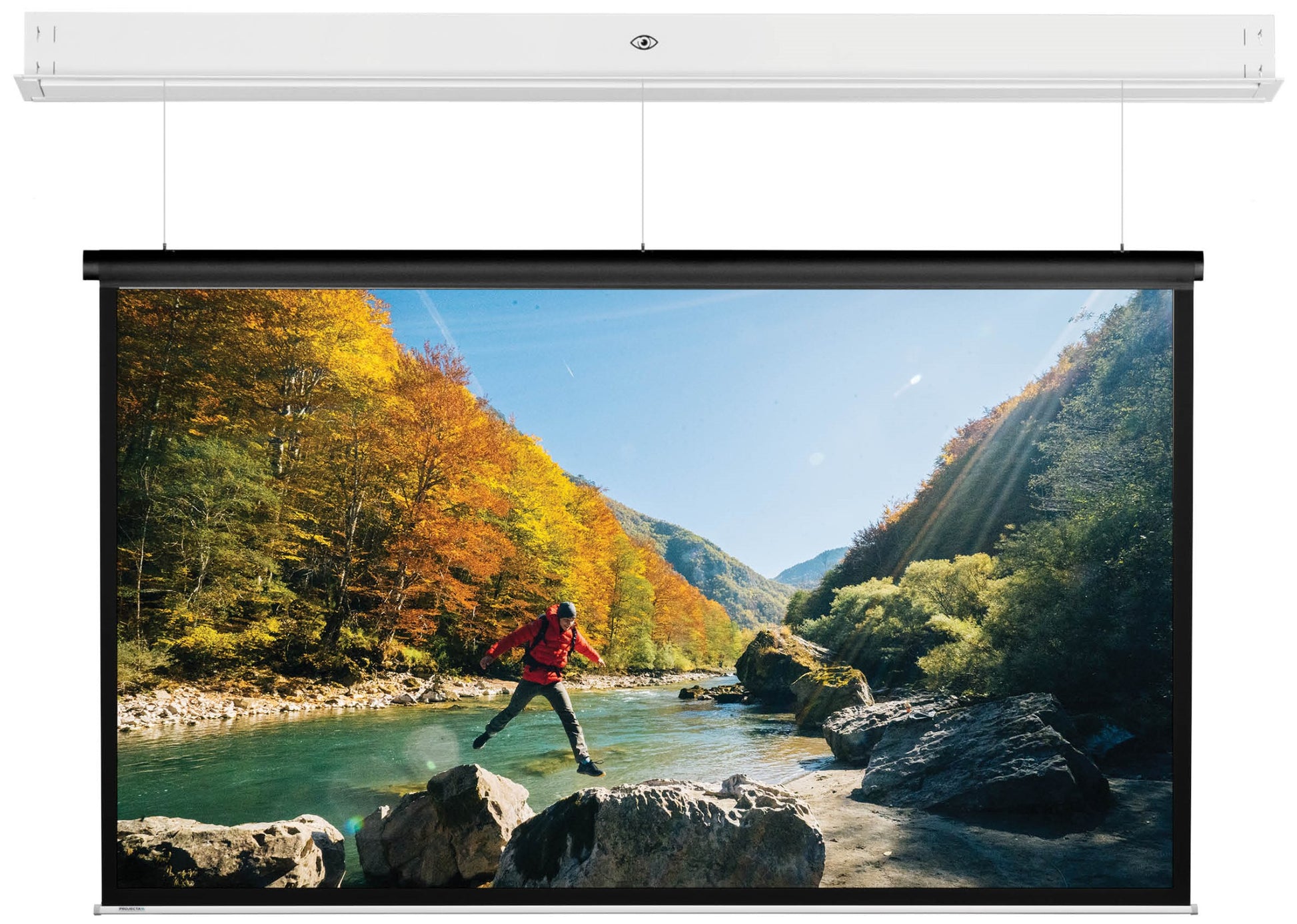 Da-Lite DescenderPro – Elektrische Leinwand, 16:10, 390 × 244 cm (181,1")