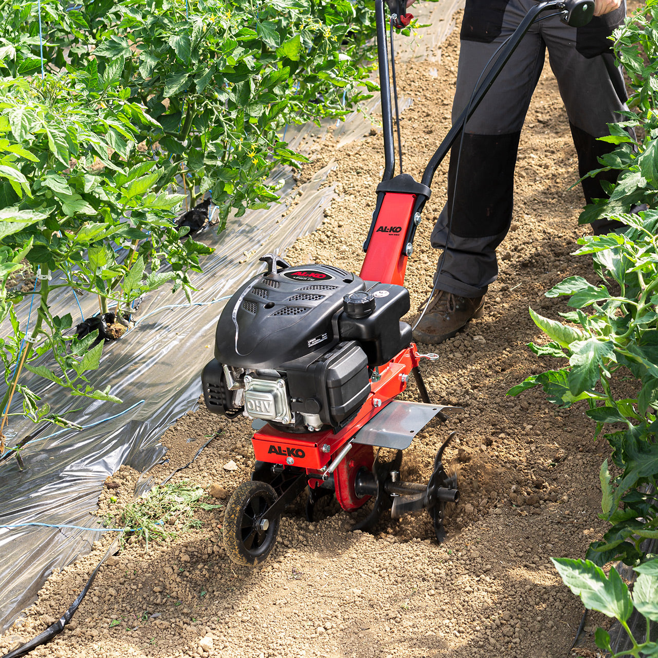 AL-KO Motorfräse MH 360 Easy – Arbeitsbreite 36 cm, Benzin, 2200 W