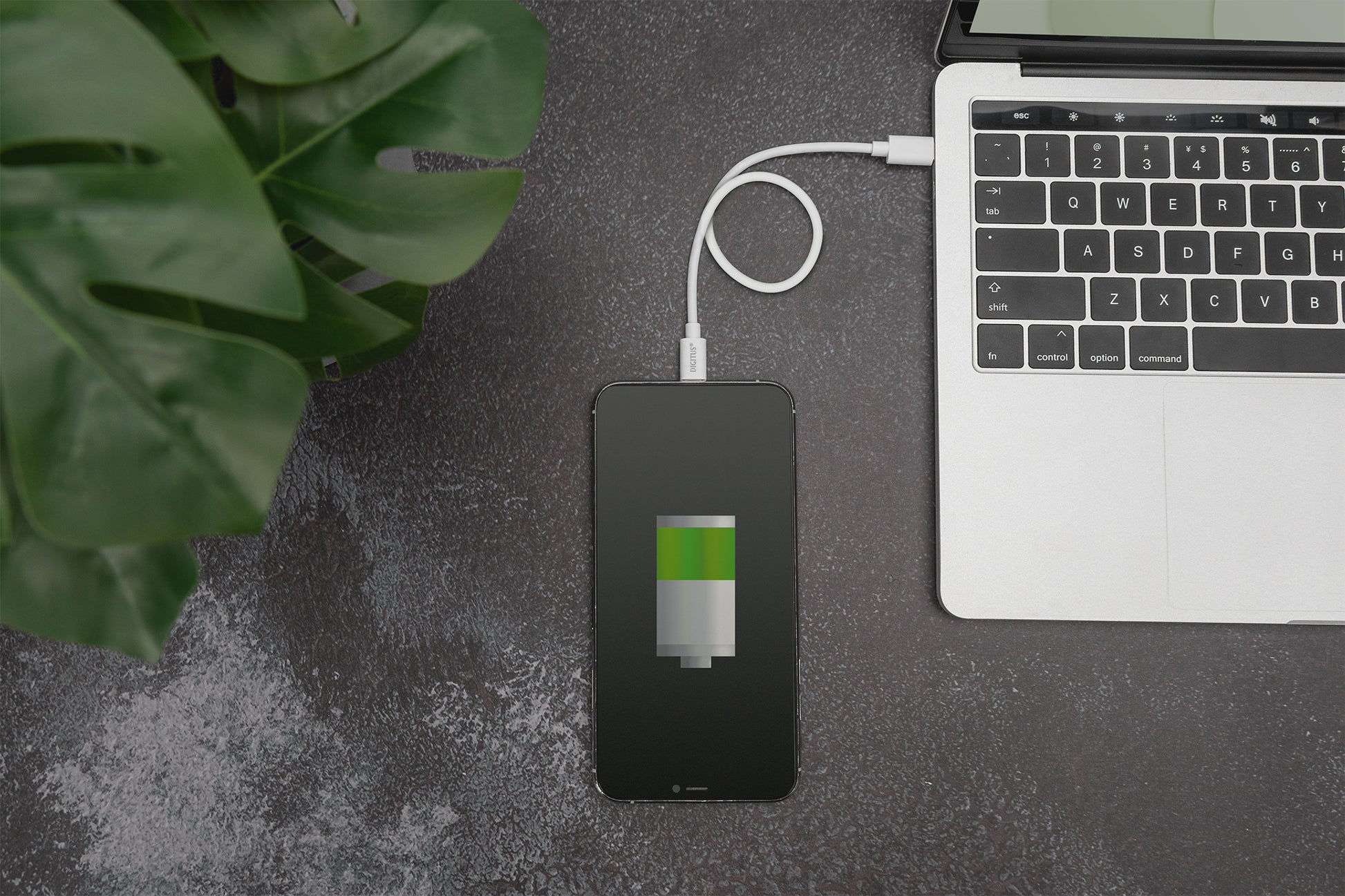 Digitus USB-C auf Lightning Kabel, 2 m, Weiss