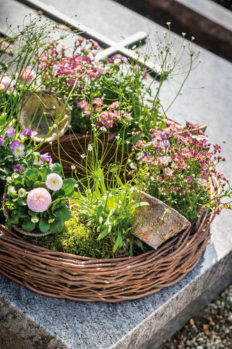 Opiflor Pflanztopf – Ø 16,5 × 11,5 cm – Harz, Terrakotta – 6-teilig