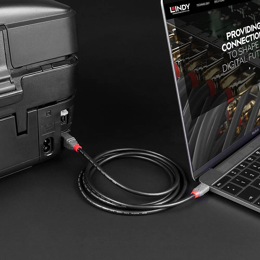 Lindy USB-Kabel, USB-C zu USB-B, 2 m, USB 2.0