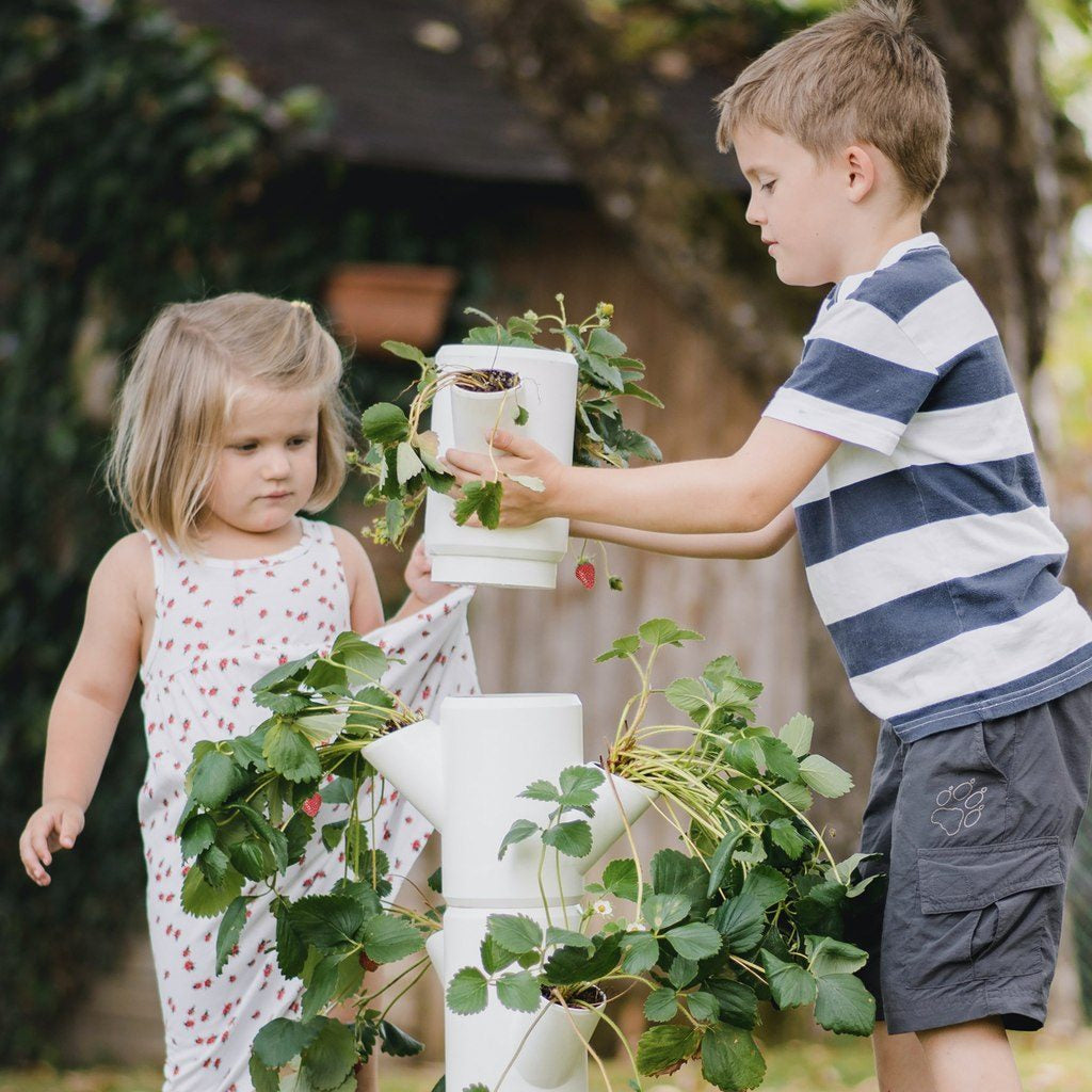 Gusta Garden SISSI STRAWBERRY Aufzuchttopf – Ø 27 × 77 cm – Kunststoff, weiss