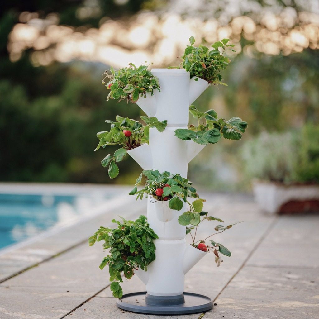 Gusta Garden SISSI STRAWBERRY Aufzuchttopf – Ø 27 × 77 cm – Kunststoff, weiss