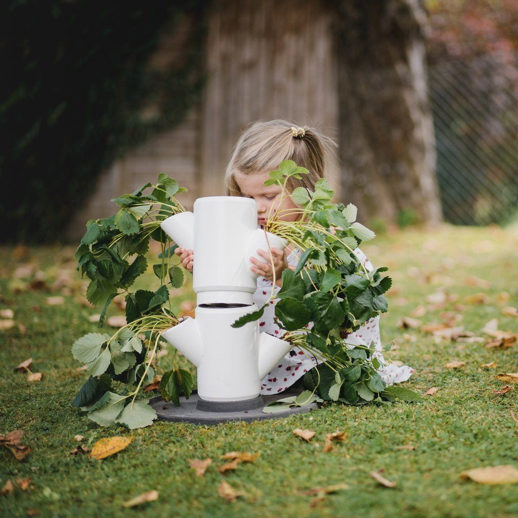 Gusta Garden SISSI STRAWBERRY Aufzuchttopf – Ø 27 × 77 cm – Kunststoff, weiss