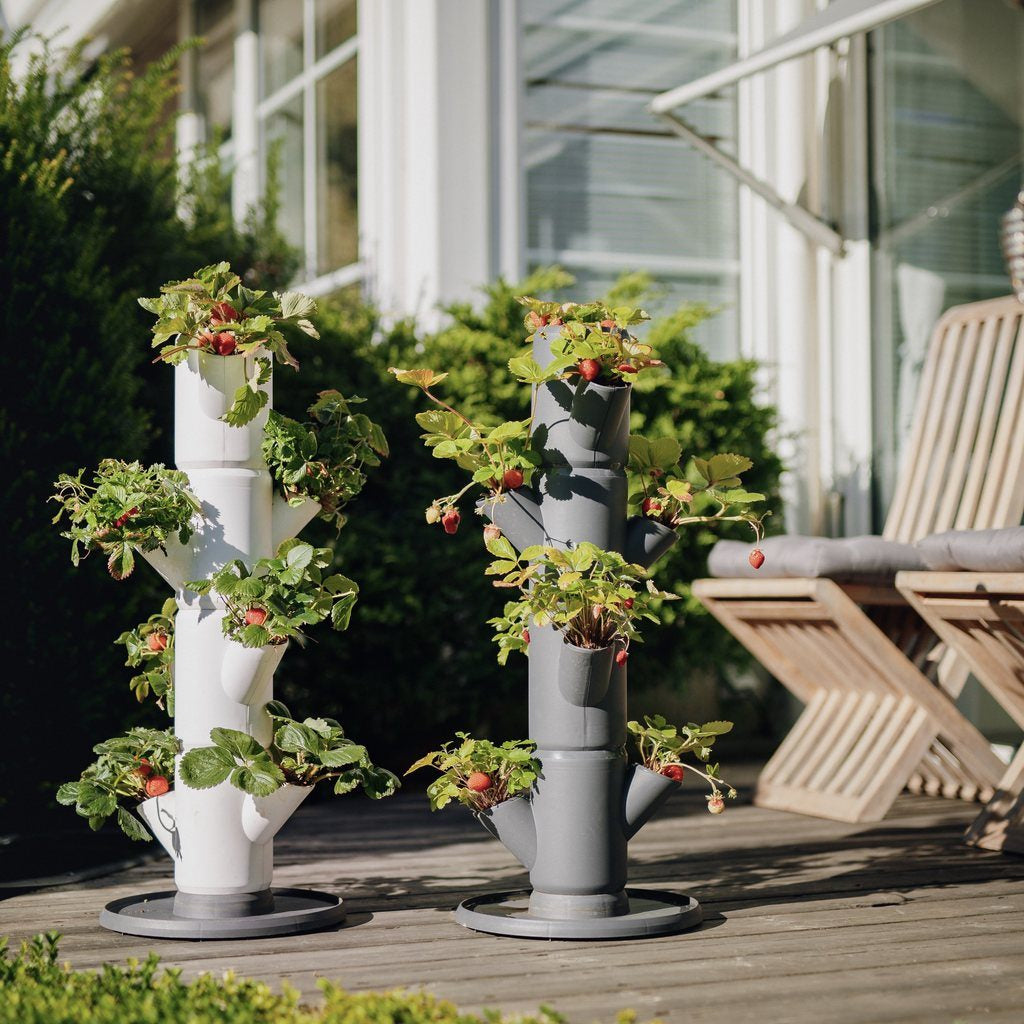 Gusta Garden SISSI STRAWBERRY Aufzuchttopf – Ø 27 × 77 cm – Kunststoff, weiss