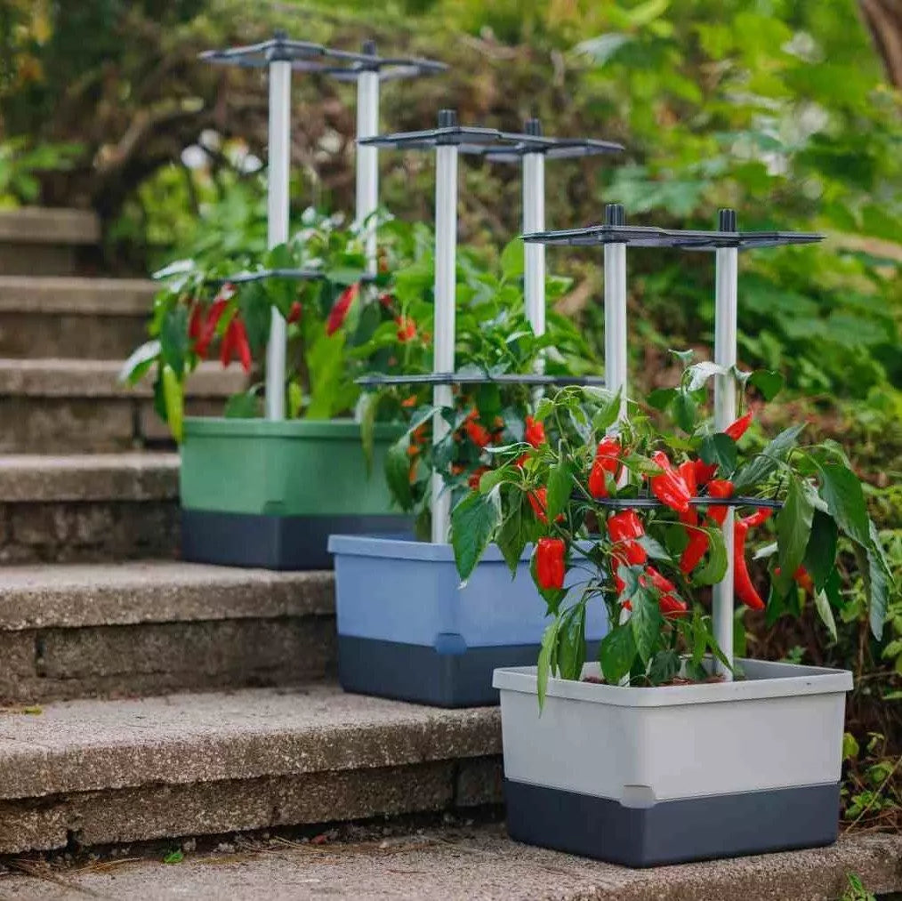 Gusta Garden CHARLY CHILI Topfpflanzer – 10 l, 27,5 × 68,7 × 34,5 cm – Kunststoff & Aluminium, dunkelgrün
