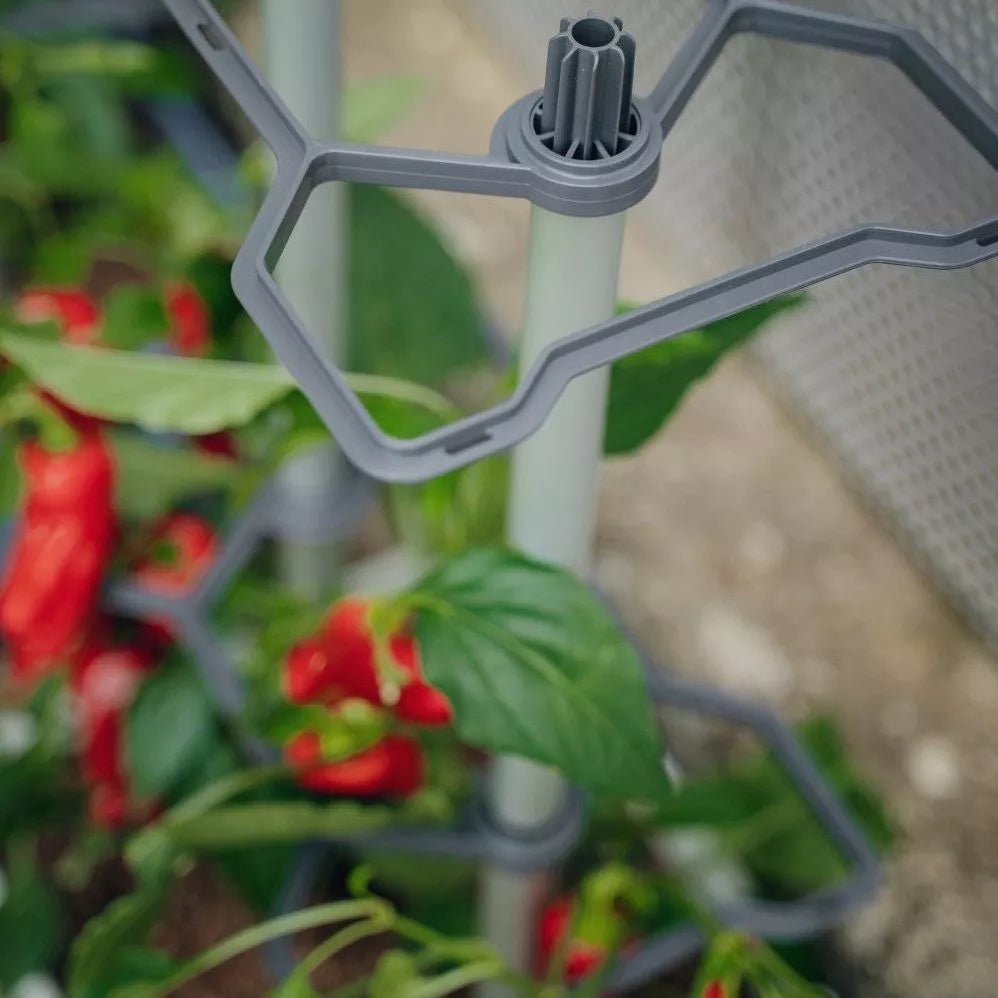 Gusta Garden Charly Chili Topfpflanzer – 10 l, 35 × 28 × 69 cm – Polypropylen & Aluminium, blau
