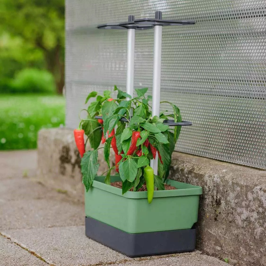 Gusta Garden CHARLY CHILI Topfpflanzer – 10 l, 27,5 × 68,7 × 34,5 cm – Kunststoff & Aluminium, dunkelgrün