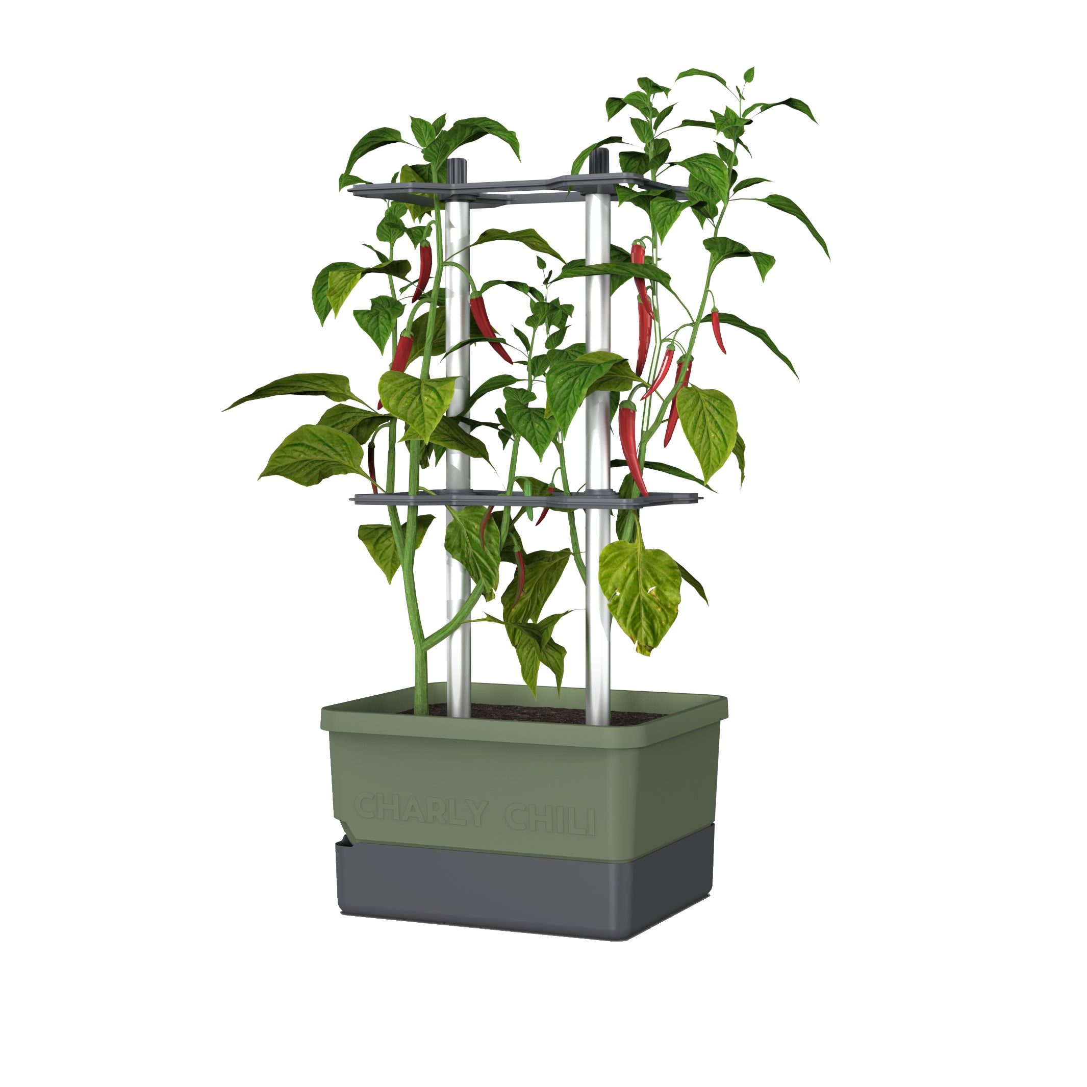 Gusta Garden CHARLY CHILI Topfpflanzer – 10 l, 27,5 × 68,7 × 34,5 cm – Kunststoff & Aluminium, dunkelgrün