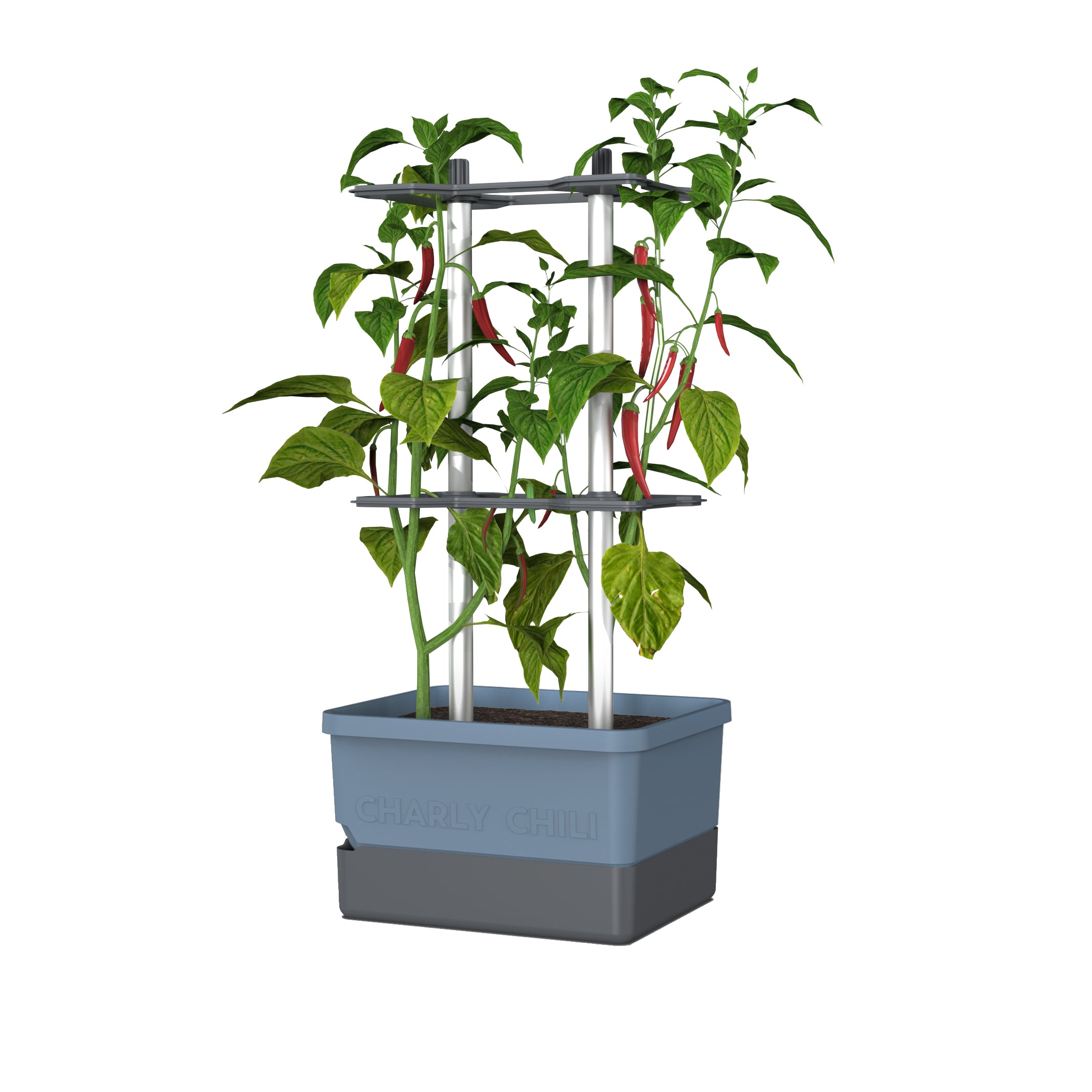 Gusta Garden Charly Chili Topfpflanzer – 10 l, 35 × 28 × 69 cm – Polypropylen & Aluminium, blau