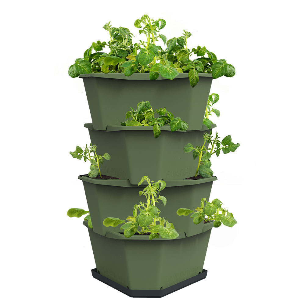 Gusta Garden Vertikale Pflanzmaschine – für 56 l, 38,8 × 44 × 22 cm – Kunststoff, dunkelgrün