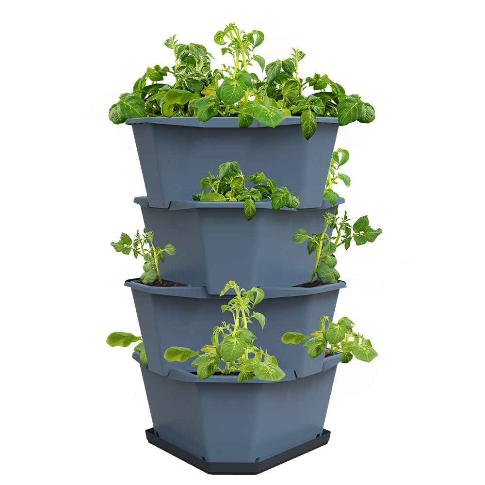 Gusta Garden Vertikale Pflanzmaschine – 44 × 65 × 44 cm – Kunststoff, Blau