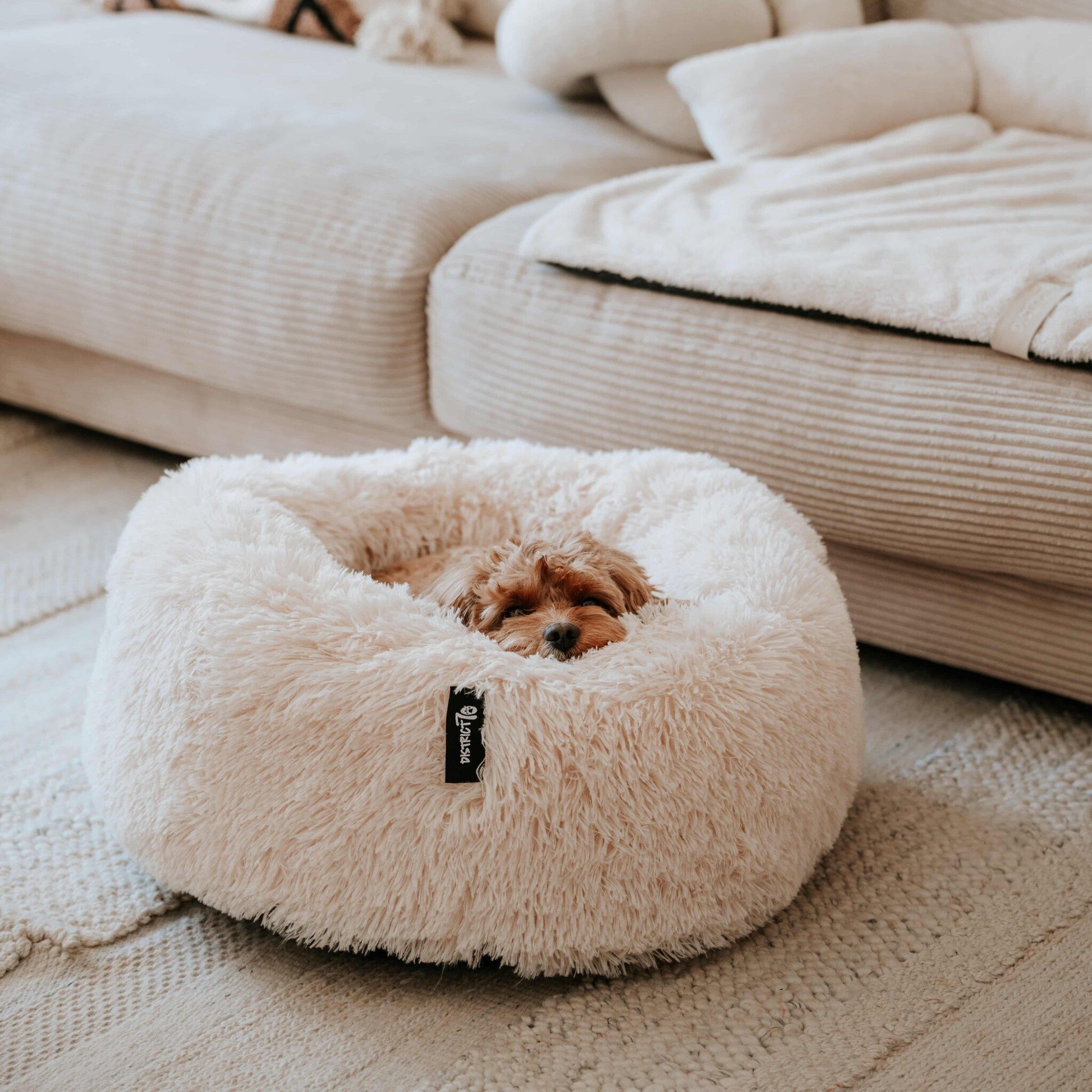 District 70 Fuzz Donut Hundebett – 80 × 80 × 25 cm, Polyesterbezug, Dunkelgrau