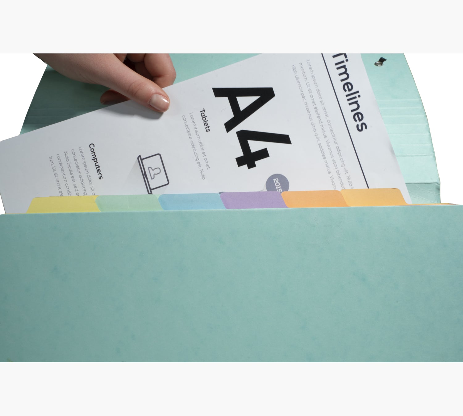 Exacompta Sammelmappe für A4, Pressspan, Mehrfarbig