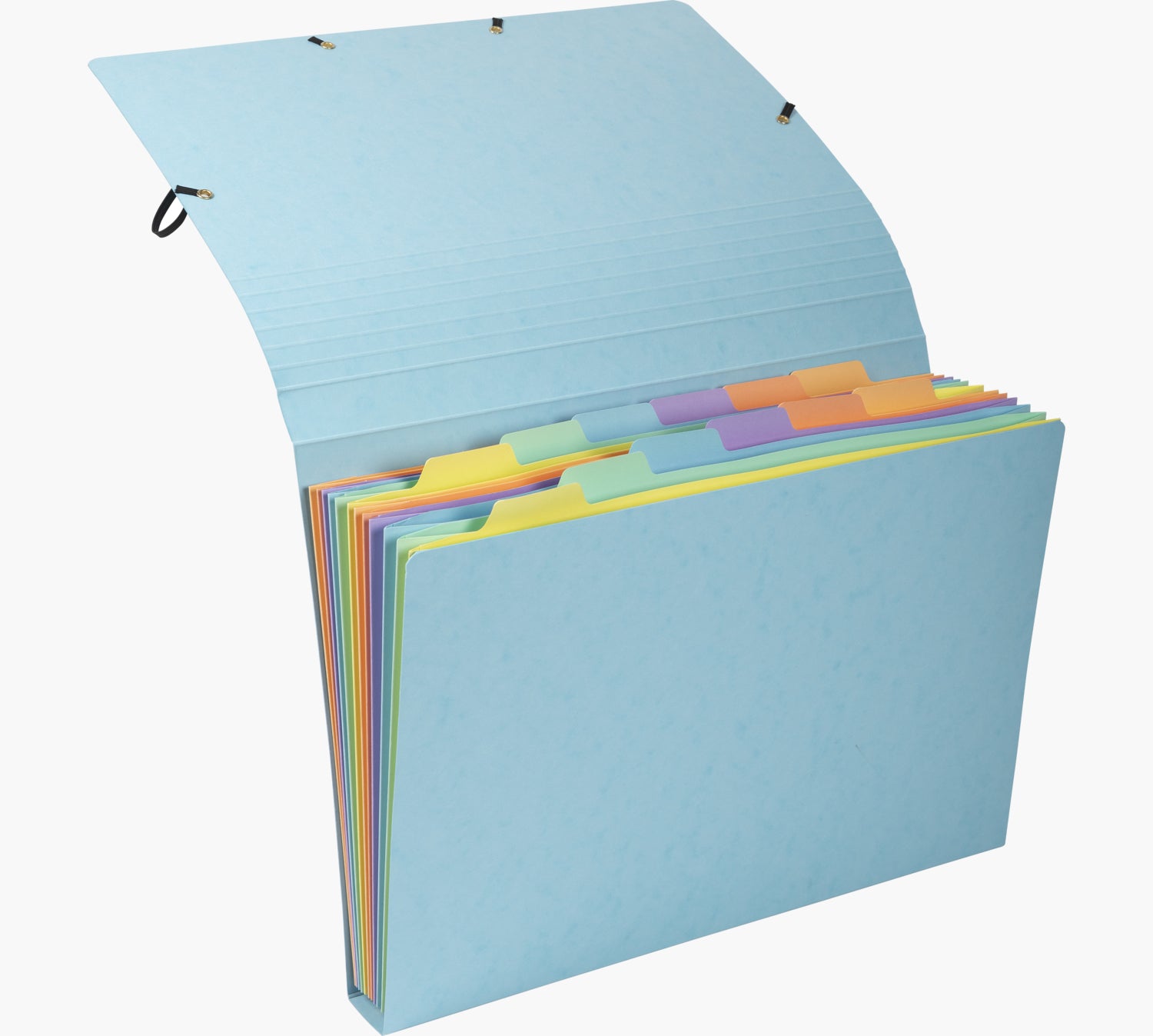 Exacompta Aquarel Fächermappe A4 – 12 Fächer, Gummiband, Karton, Mehrfarbig, bis 250 Blatt, 4 Stk.