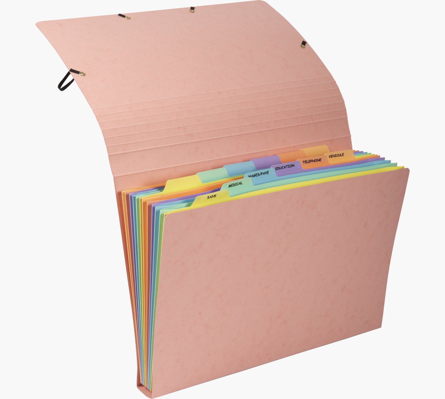 Exacompta Sammelmappe für A4, Pressspan, Mehrfarbig