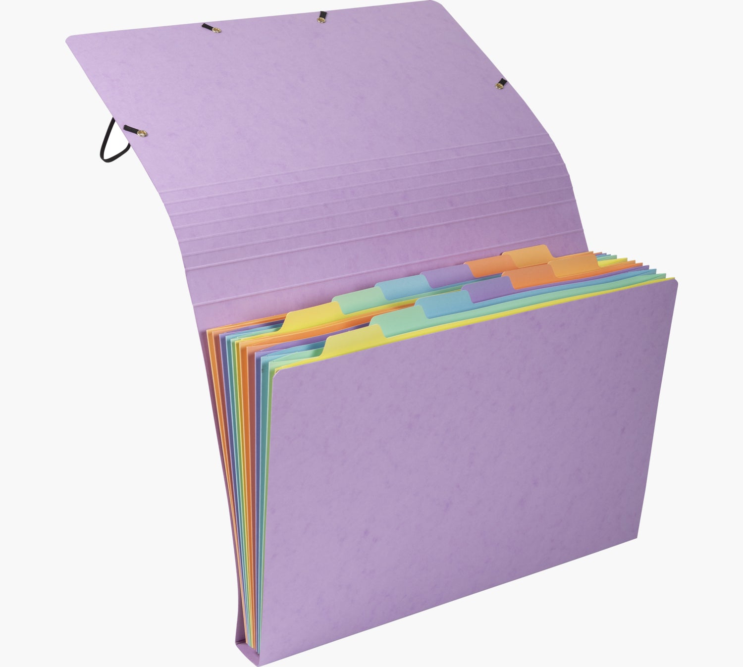 Exacompta Sammelmappe für A4, Pressspan, Mehrfarbig