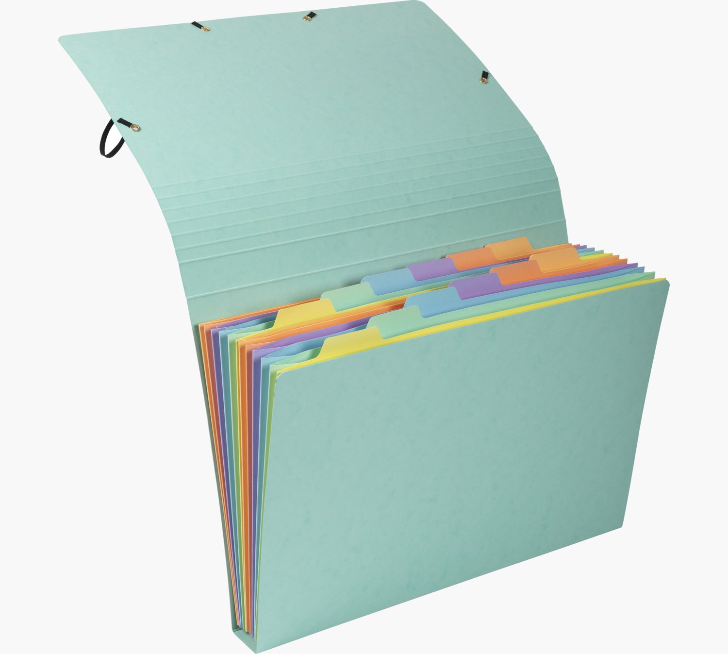 Exacompta Sammelmappe für A4, Pressspan, Mehrfarbig