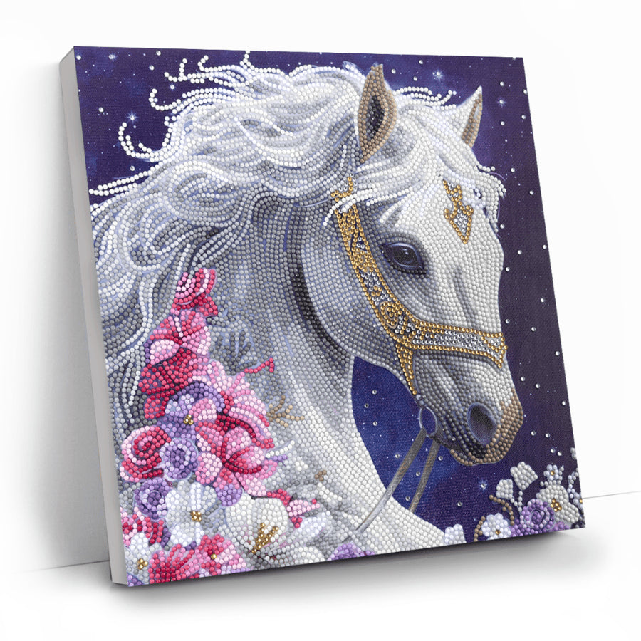 CRAFT Buddy Mystic Beauty – Diamond Painting Set – Pferd – 30 × 30 cm – ab 8 Jahren