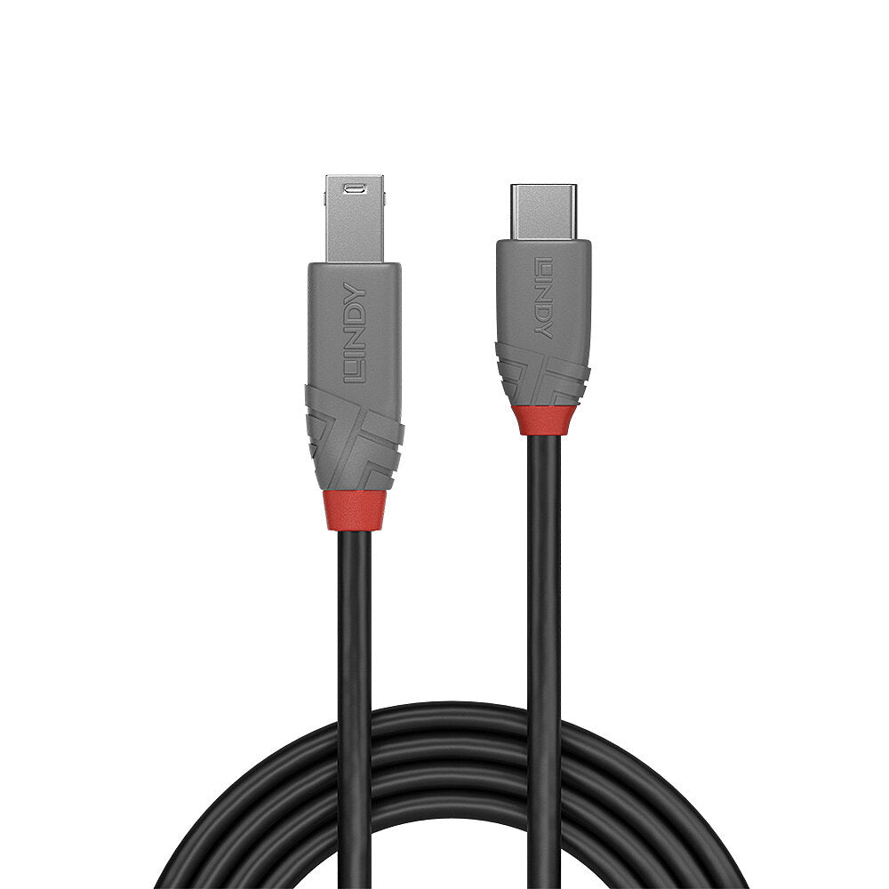 Lindy USB-Kabel, USB-C zu USB-B, 3 m, USB 3