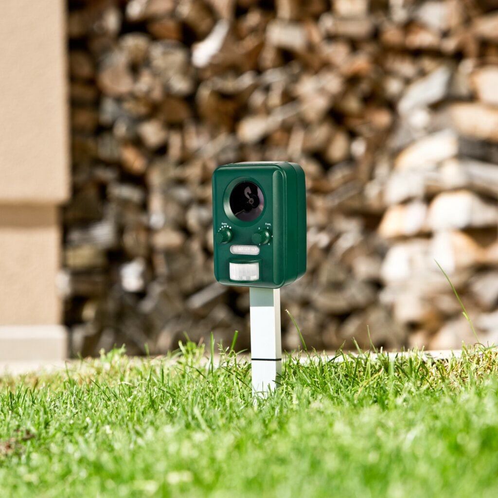 Windhager Tiervertreiber – Grün – Akku/Solar, Wetterfest, Kindersicher – Für Marder