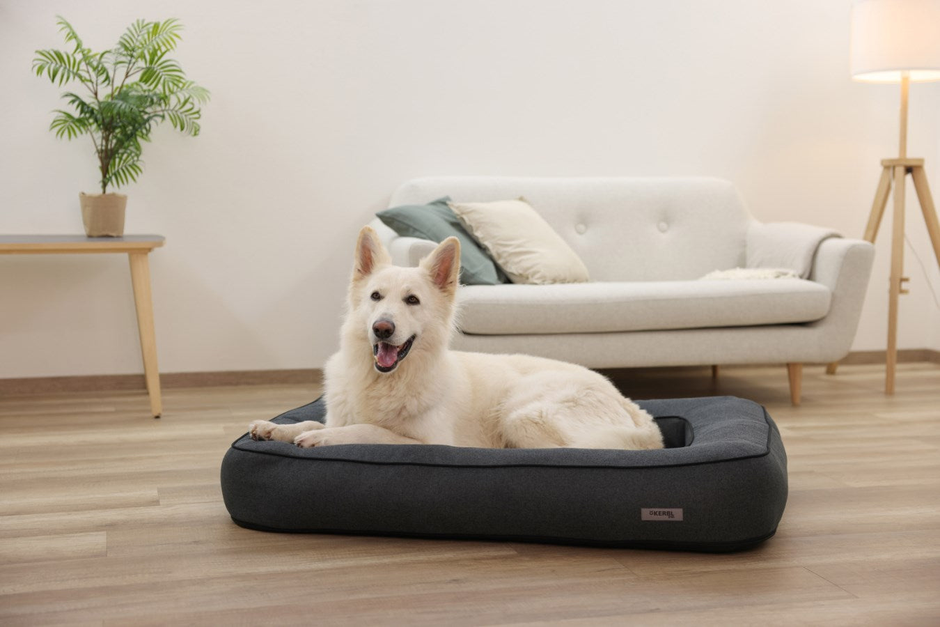Kerbl Platin Ortho Hundebett – 80 × 117 × 18 cm, Schaumstoff, Polyesterbezug, abnehmbarer Bezug, Grau